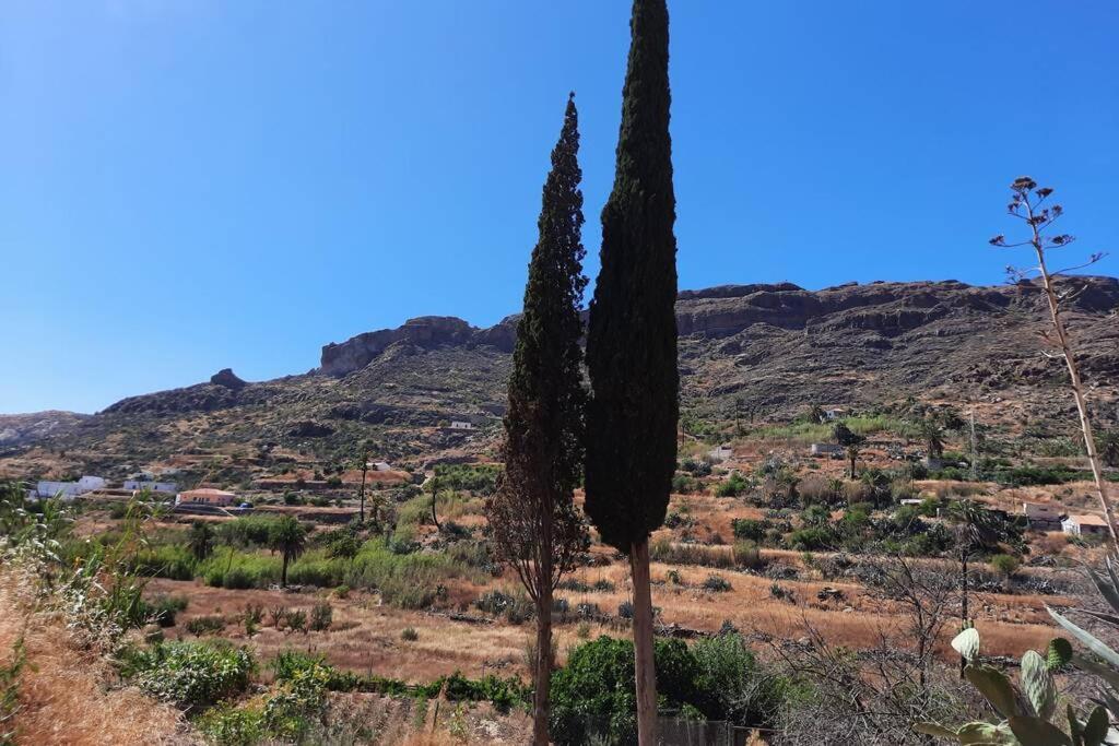Casa Rural Los Cipreses. Cercados De Arana San Bartolomé Exteriör bild